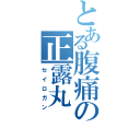 とある腹痛の正露丸（セイロガン）