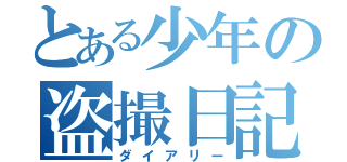 とある少年の盗撮日記（ダイアリー）