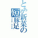 とある新菜の短豚足Ⅱ（１５０．３ｃｍ）