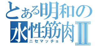 とある明和の水性筋肉Ⅱ（ニセマッチョ）