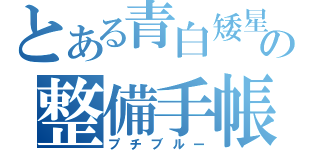 とある青白矮星の整備手帳（プチブルー）