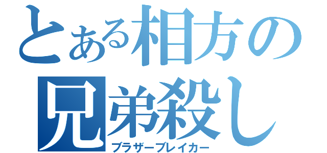 とある相方の兄弟殺し（ブラザーブレイカー）