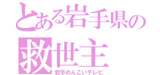 とある岩手県の救世主（岩手めんこいテレビ）