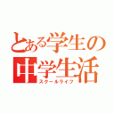 とある学生の中学生活（スクールライフ）