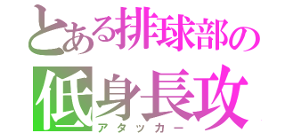 とある排球部の低身長攻撃者（アタッカー）