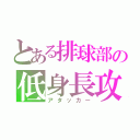 とある排球部の低身長攻撃者（アタッカー）