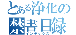 とある浄化の禁書目録（インデックス）