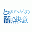 とあるハゲの育毛決意（育毛します）