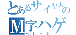 とあるサイヤ人のＭ字ハゲ（ベジータ）