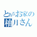 とあるお家の柚月さん（）