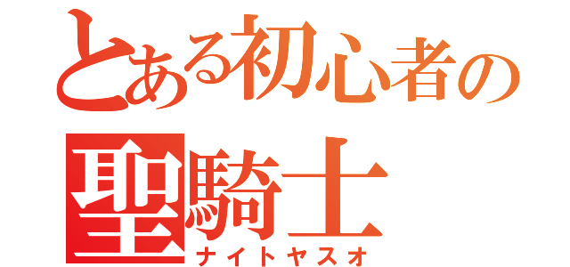 とある初心者の聖騎士（ナイトヤスオ）