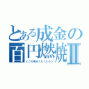 とある成金の百円燃焼Ⅱ（どうだ明るくなったろう）