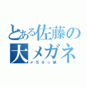 とある佐藤の大メガネ（メガネっ娘）