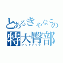 とあるきゃなこの特大臀部（ビックヒップ）