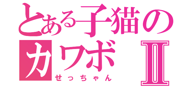 とある子猫のカワボⅡ（せっちゃん）