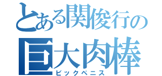 とある関俊行の巨大肉棒（ビックペニス）