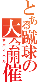 とある蹴球の大会開催（サバイバル）