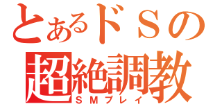 とあるドＳの超絶調教（ＳＭプレイ）