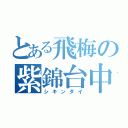 とある飛梅の紫錦台中（シキンダイ）