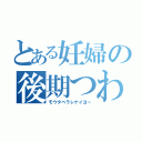 とある妊婦の後期つわり（モウタベラレナイヨー）