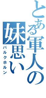 とある軍人の妹思い（バルクホルン）