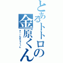 とあるトトロの金原くん（きぃぃんぱらぁくぅん）