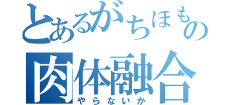 とあるがちほもの肉体融合（やらないか）