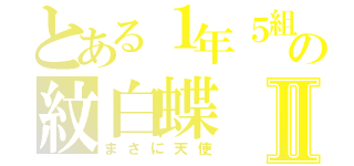 とある１年５組の紋白蝶Ⅱ（まさに天使）