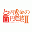 とある成金の百円燃焼Ⅱ（どうだ明るくなったろう）