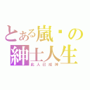 とある嵐貓の紳士人生（此人已成神）