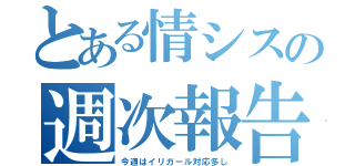 とある情シスの週次報告（今週はイリガール対応多し）