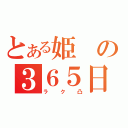 とある姫の３６５日（ラク凸）