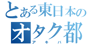 とある東日本のオタク都市（アキバ）