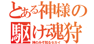 とある神様の駆け魂狩り（神のみぞ知るセカイ）