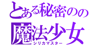 とある秘密のの魔法少女（シリカマスター）