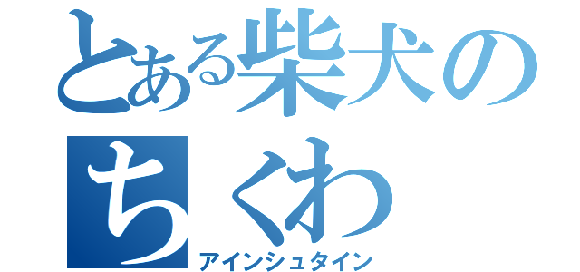 とある柴犬のちくわ（アインシュタイン）