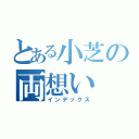 とある小芝の両想い（インデックス）