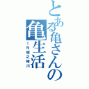 とある亀さんの亀生活（ＩＮ城之崎川）