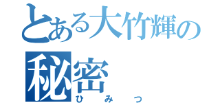 とある大竹輝の秘密（ひみつ）