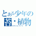 とある少年の苔藓植物（コケショクブツ）