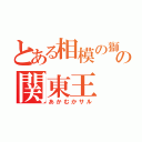 とある相模の獅子の関東王（あかむかサル）