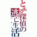 とある探偵の逃亡生活（コナン）