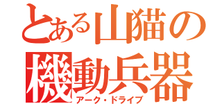 とある山猫の機動兵器（アーク・ドライブ）