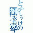 とあるしゃけの御坂美琴（俺の嫁）