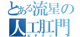 とある流星の人工肛門（ビチグソ）