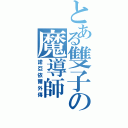 とある雙子の魔導師（諾亞依爾外傳）