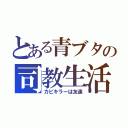 とある青ブタの司教生活（カビキラーは友達）