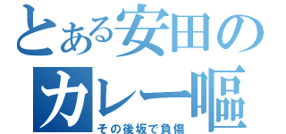 とある安田のカレー嘔吐（その後坂で負傷）