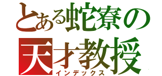 とある蛇寮の天才教授（インデックス）