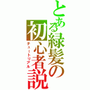 とある緑髪の初心者説明（チュートリアル）